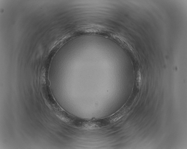 X0000080720547200701051037