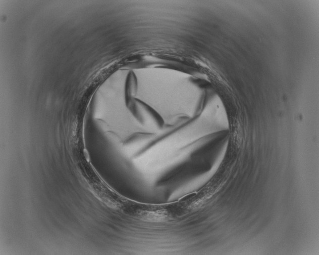 X0000080720548200701051037