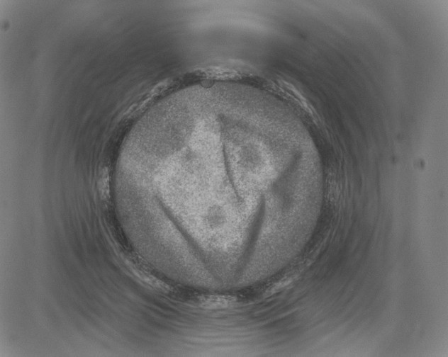 X0000080720549200701051037