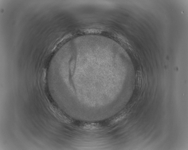 X0000080720550200701051037