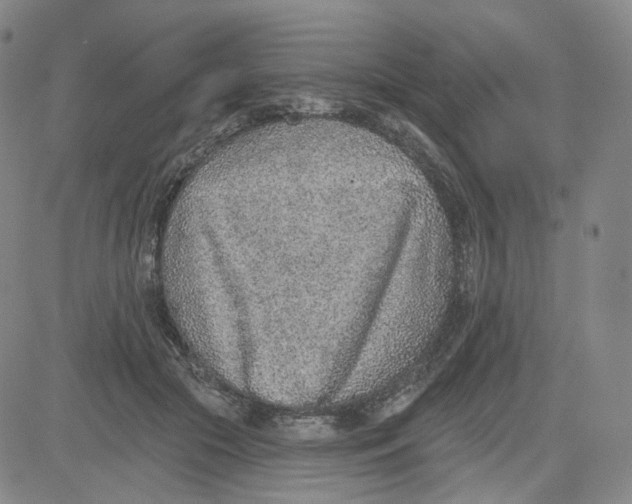 X0000080720553200701051037