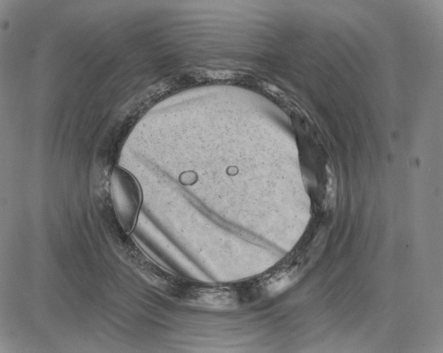 X0000080720555200701051037