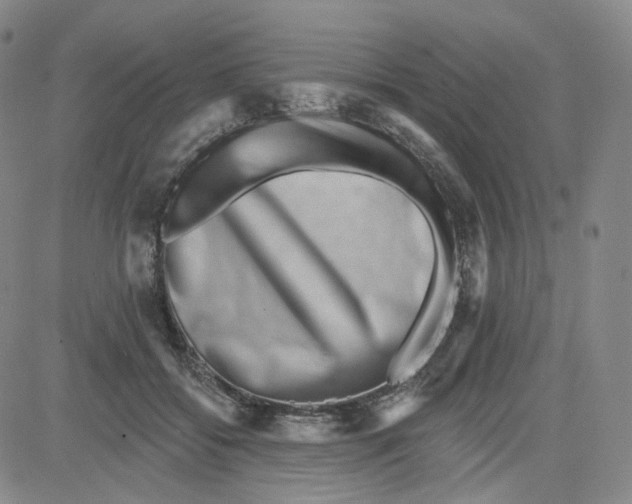 X0000080720556200701051037