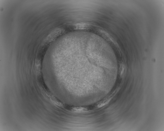 X0000080720557200701051037