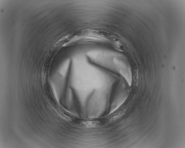 X0000080720558200701051037