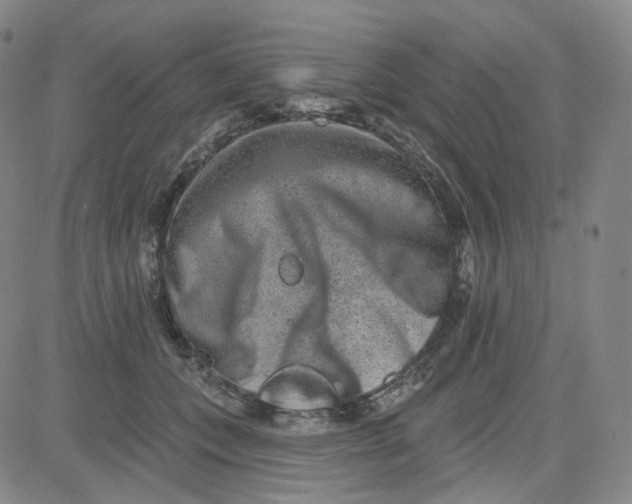 X0000080720559200701051037