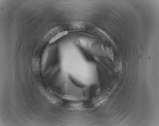 X0000080720560200701051037