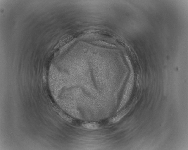 X0000080720561200701051037