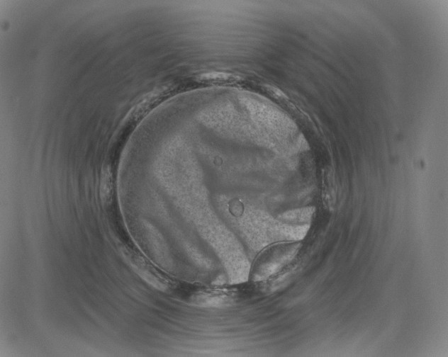 X0000080720563200701051037