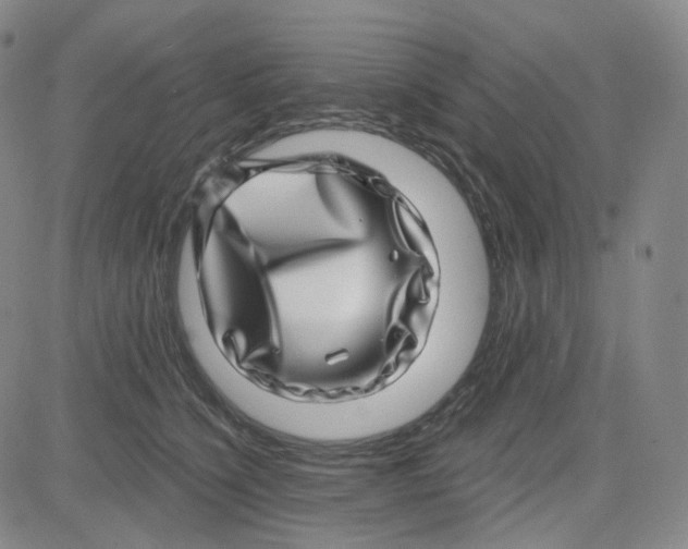 X0000080720564200701051037