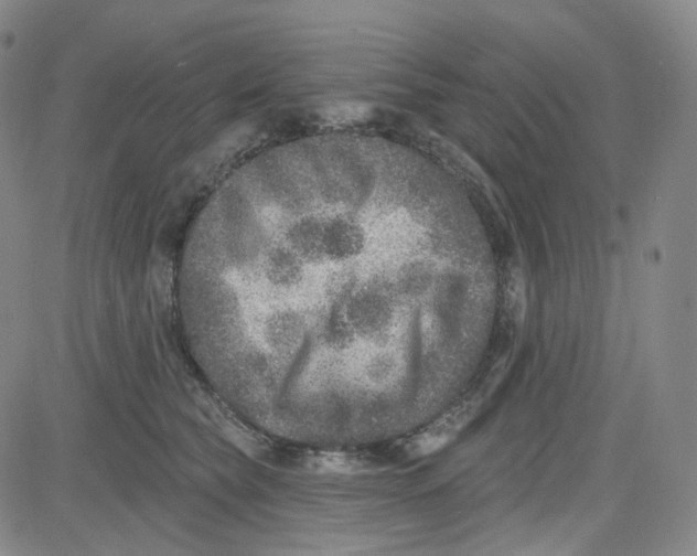 X0000080720565200701051037