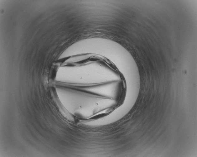 X0000080720566200701051037