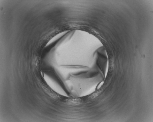 X0000080720567200701051037