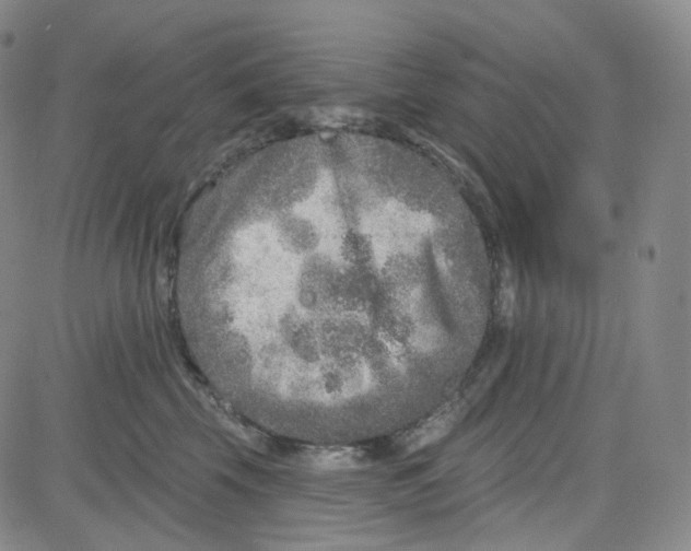 X0000080720569200701051037