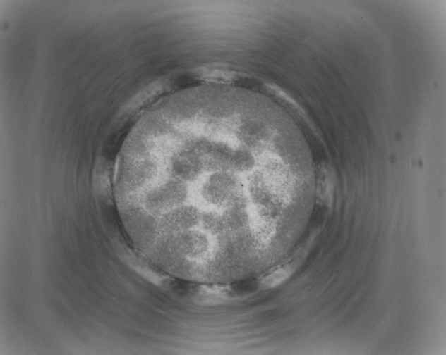 X0000080720573200701051037