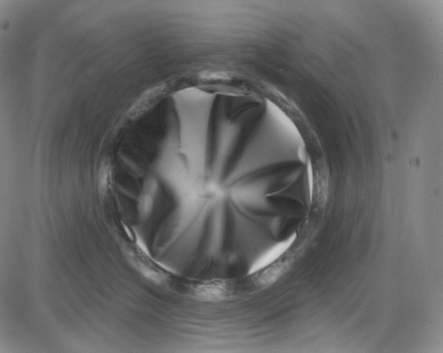 X0000080720574200701051037