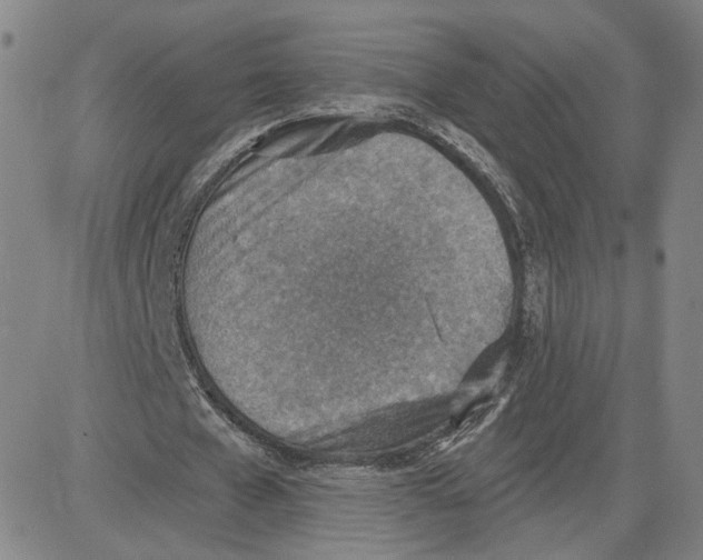 X0000080720577200701051036