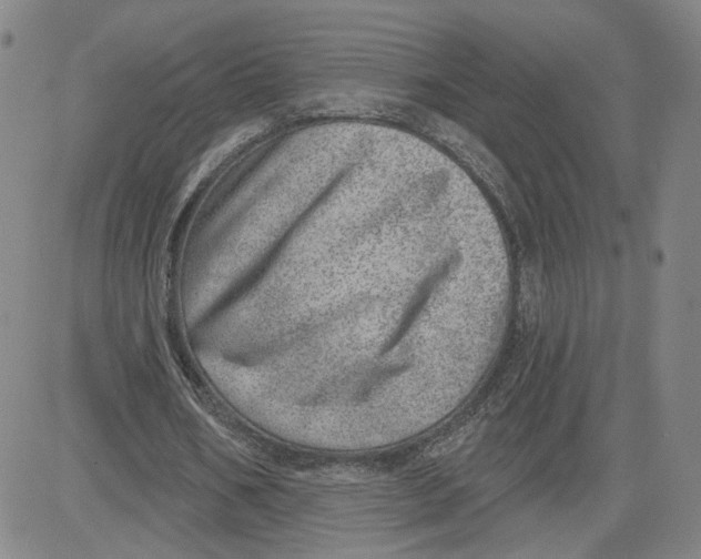 X0000080720578200701051036