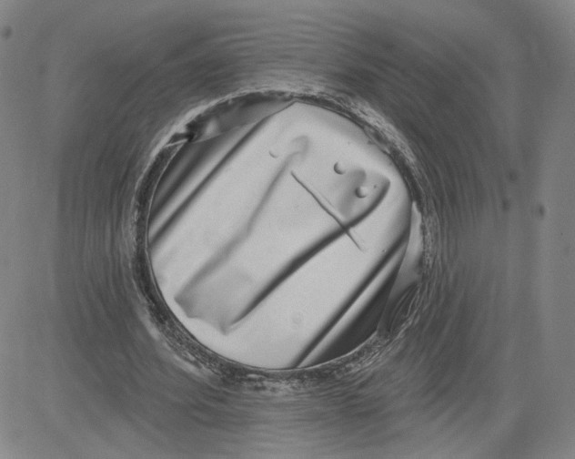 X0000080720580200701051036