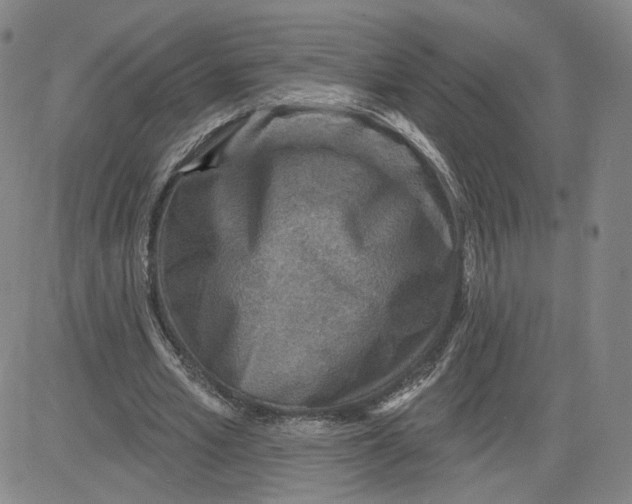 X0000080720581200701051036