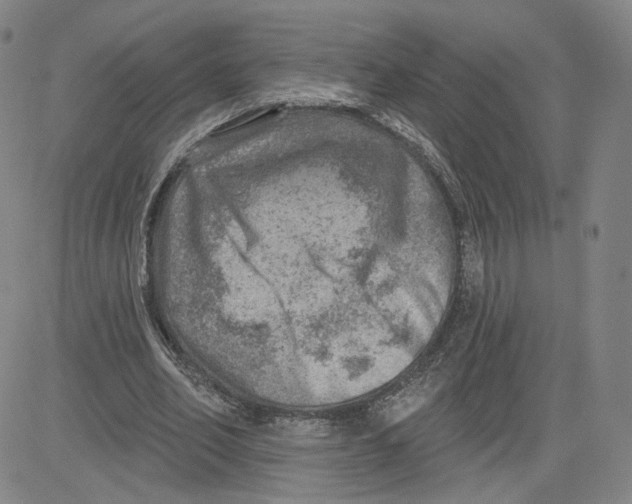 X0000080720582200701051036