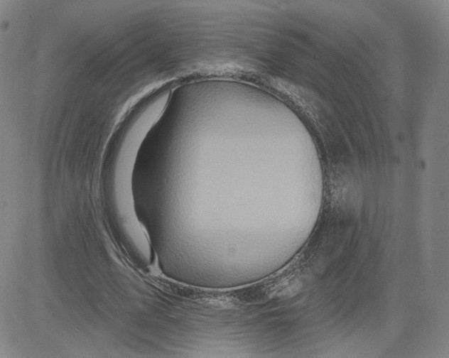 X0000080720583200701051036