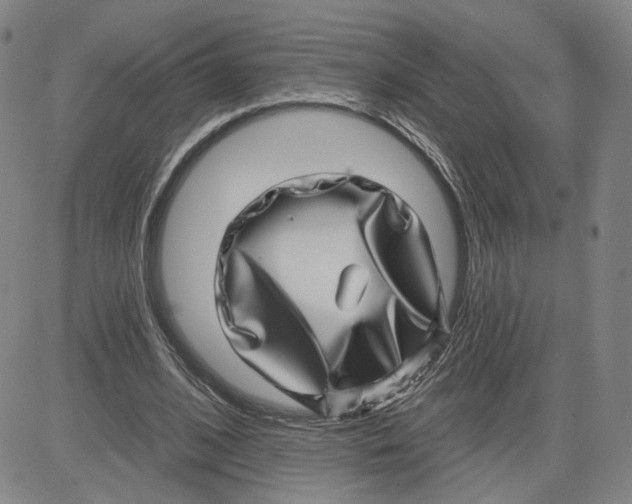 X0000080720584200701051036