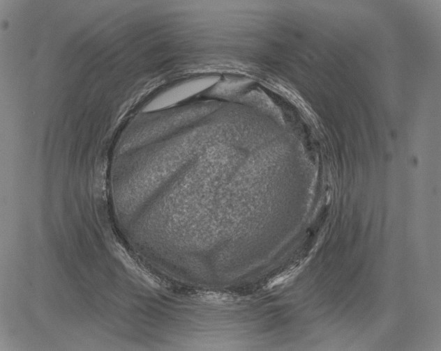 X0000080720585200701051036