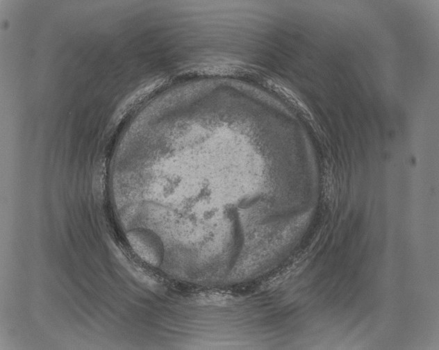 X0000080720586200701051036