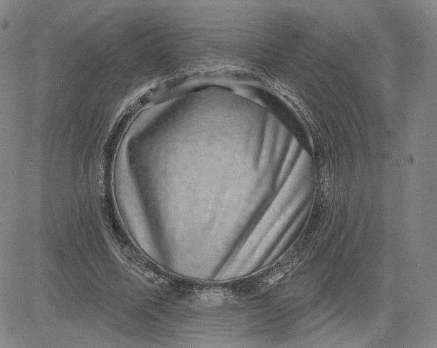 X0000080720587200701051036