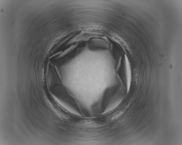 X0000080720589200701051036