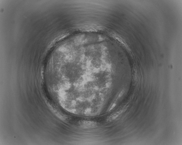 X0000080720590200701051036