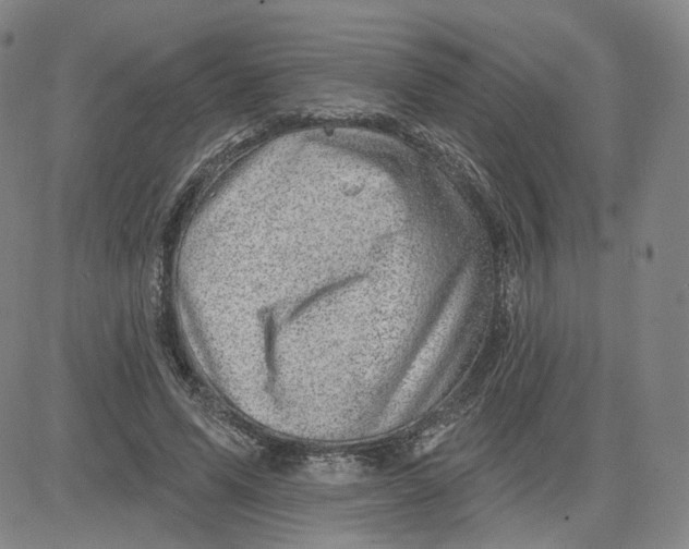 X0000080720591200701051036