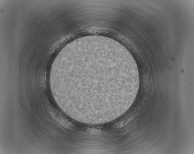 X0000080720592200701051036