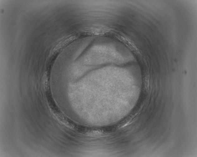 X0000080720594200701051036