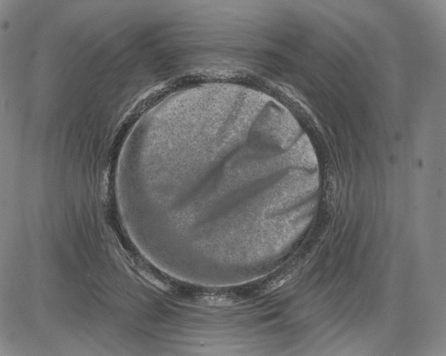 X0000080720596200701051036