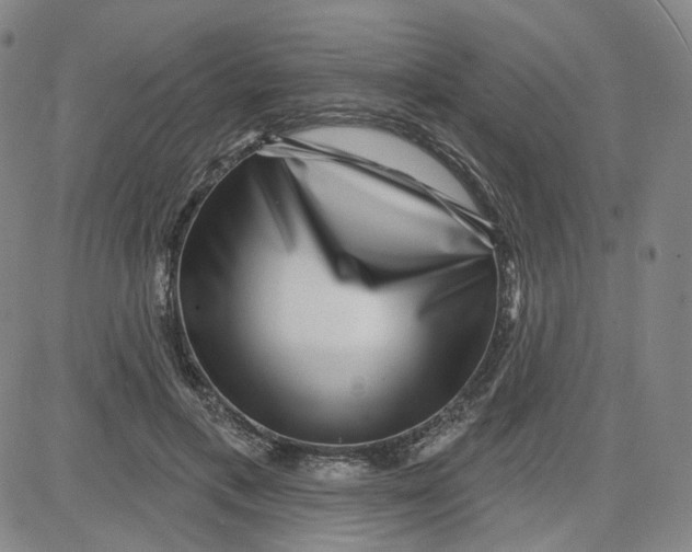 X0000080720597200701051036