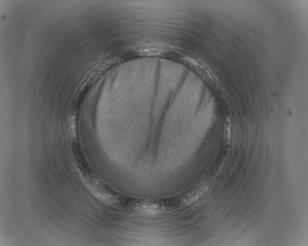 X0000080720598200701051036