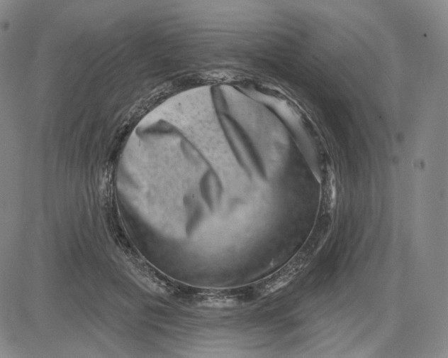 X0000080720601200701051036