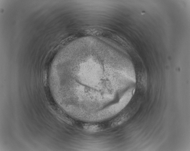 X0000080720602200701051036