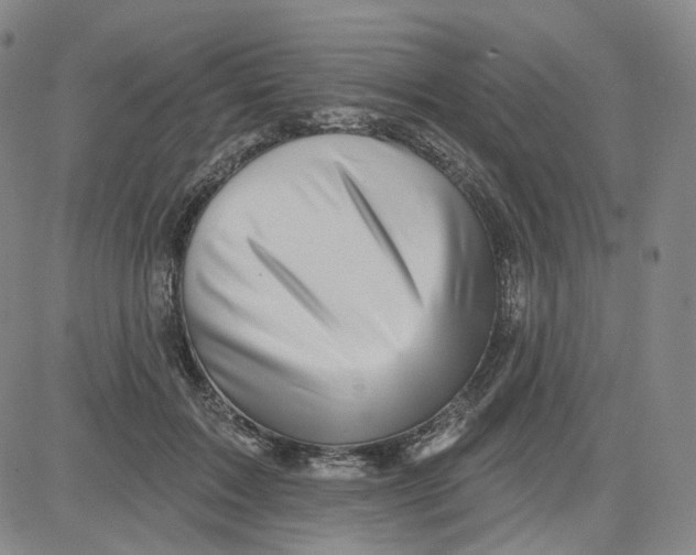 X0000080720603200701051036