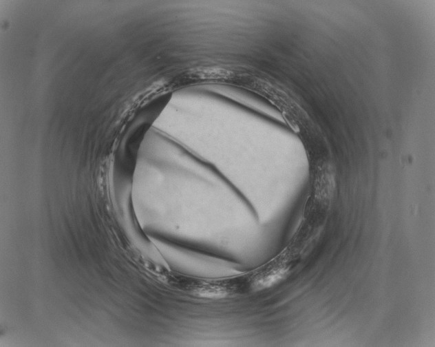 X0000080720604200701051036