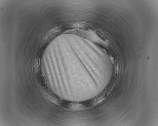 X0000080720605200701051036