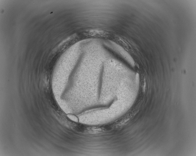 X0000080720607200701051036