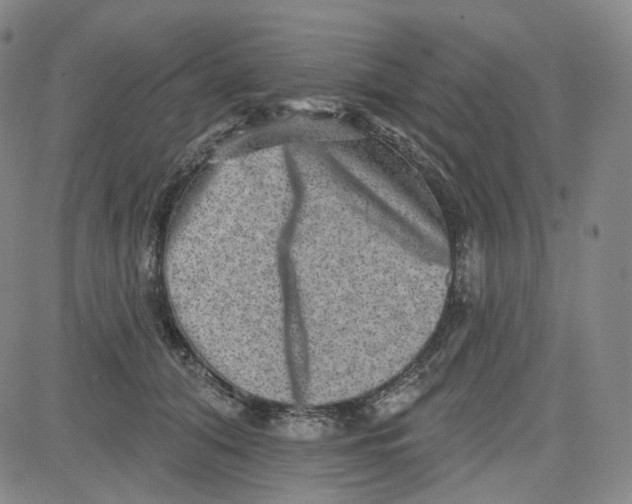 X0000080720608200701051036