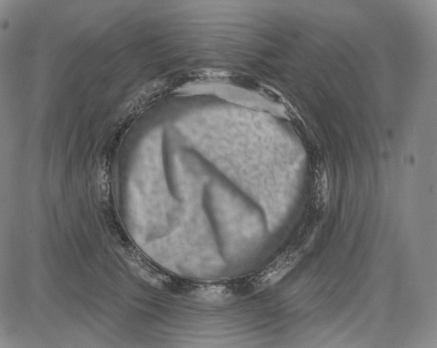 X0000080720609200701051036