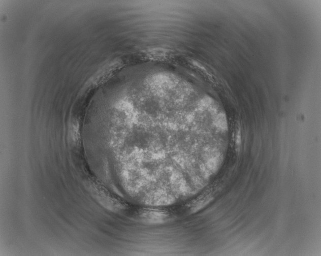 X0000080720610200701051036