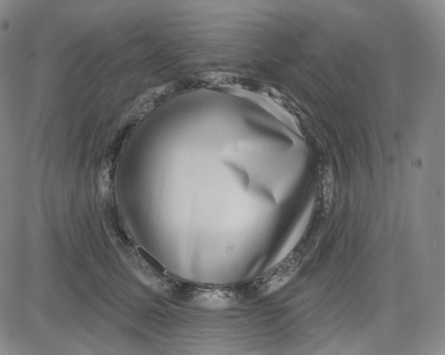 X0000080720611200701051036