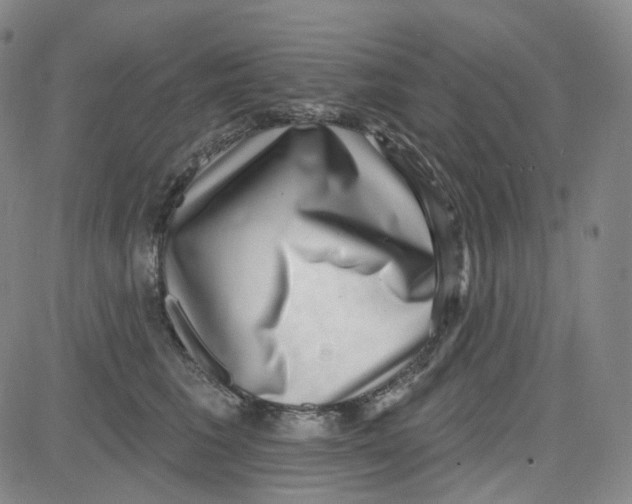 X0000080720613200701051036