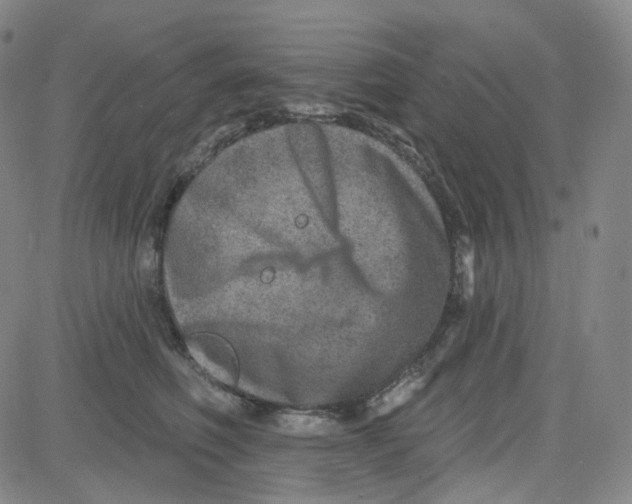 X0000080720614200701051036